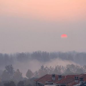 欧美大片黄片之舔吸阴道狂
